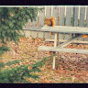 Meet your Posher, Аlex